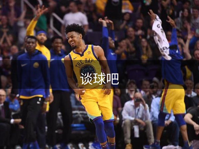 网站概况